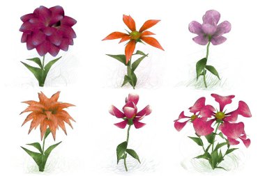 Beyaz arkaplanda izole edilmiş suluboya çiçekleri