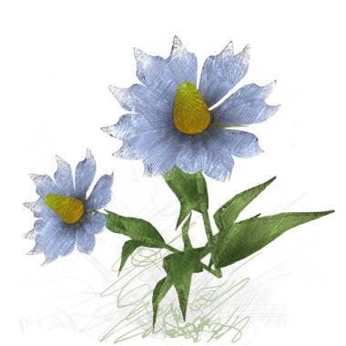 Beyaz arkaplanda güzel çiçekler