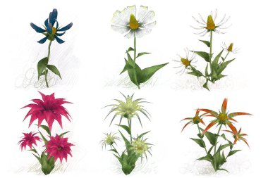 Beyaz arka planda suluboya çiçekler seti