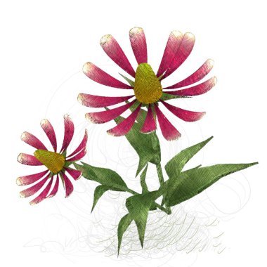 beyaz zemin üzerine suluboya çiçek