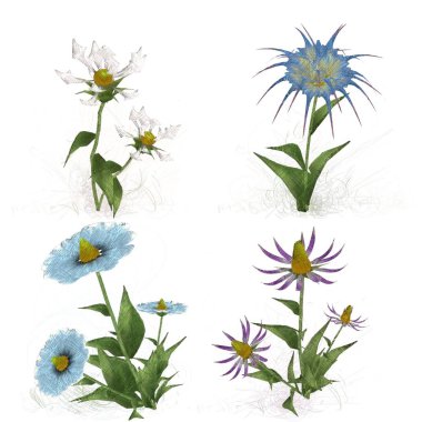 Beyaz arkaplanda güzel çiçekler