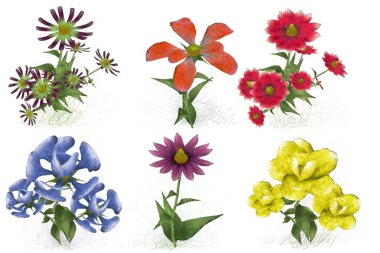 Beyaz arka planda güzel suluboya çiçekler