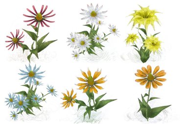 Beyaz arka planda güzel suluboya çiçekler