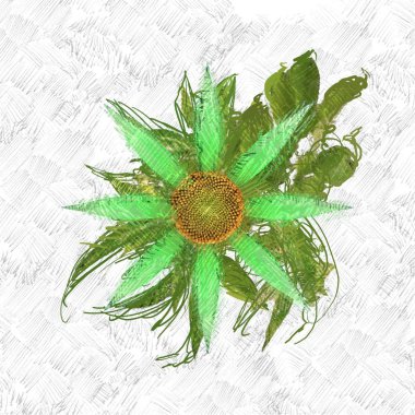 Beyaz arkaplanda Noel süslemesi