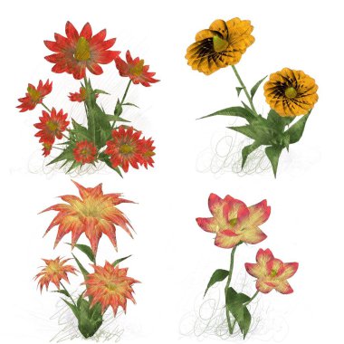 Beyaz arkaplanda güzel çiçekler