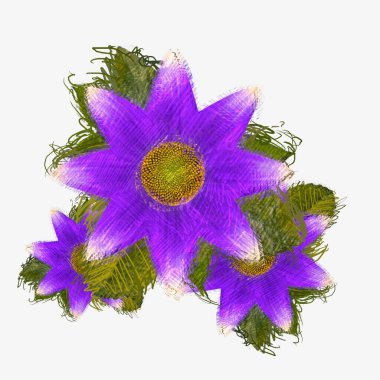 beyaz arkaplanda izole edilmiş çiçek