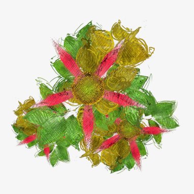 sonbahar yaprakları beyaz arkaplanda izole