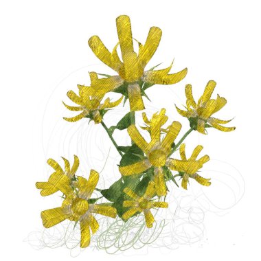 beyaz arkaplanda yeşil yapraklar izole