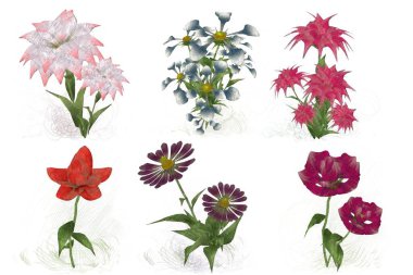 Beyaz arkaplanda güzel çiçekler