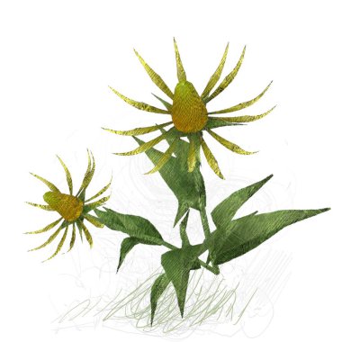 Beyaz arkaplanda izole edilmiş noel ağacı