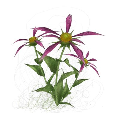 çiçekler ile suluboya çiçek