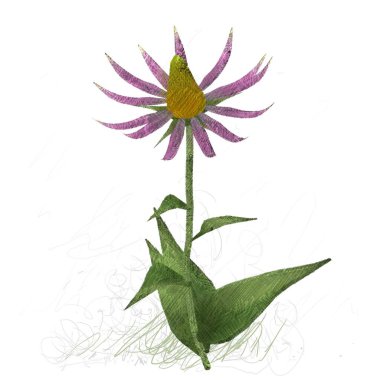 Beyaz arkaplanda güzel çiçekler 