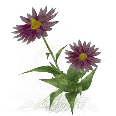 Beyaz arkaplanda güzel çiçekler 