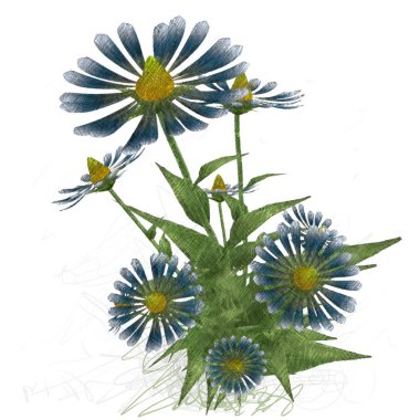 Beyaz arkaplanda güzel çiçekler 