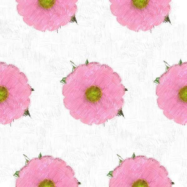 Pink Flowers White Background — Stock Photo, Image