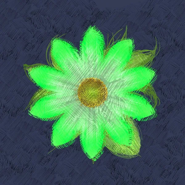 Αφηρημένο Φόντο Λουλούδι — Φωτογραφία Αρχείου