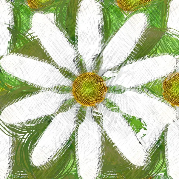 Πολύχρωμα Λουλούδια Λευκό Φόντο — Φωτογραφία Αρχείου