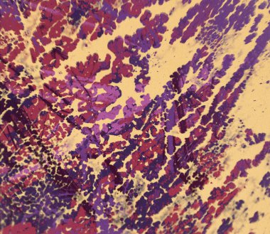 metin için alan ile arka planda soyut renkli lekeler