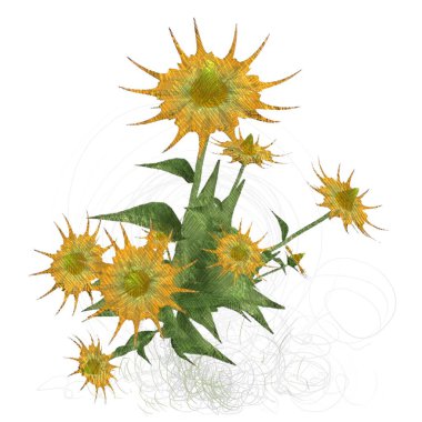 Beyaz arkaplanda güzel çiçekler 