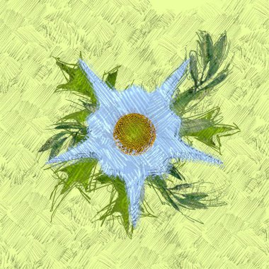 beyaz arkaplanda yeşil yapraklar