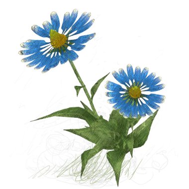 Beyaz arkaplanda güzel çiçekler 