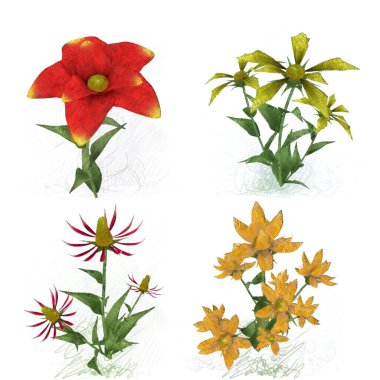 Beyaz arka planda güzel çiçekler