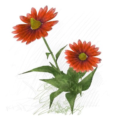 Beyaz arkaplanda güzel çiçekler 