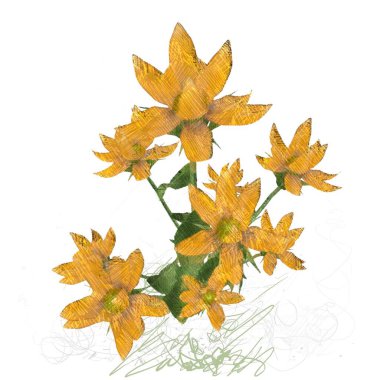 Beyaz arkaplanda güzel çiçekler 