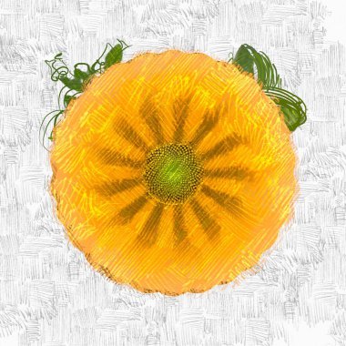 beyaz arkaplanda taze meyve