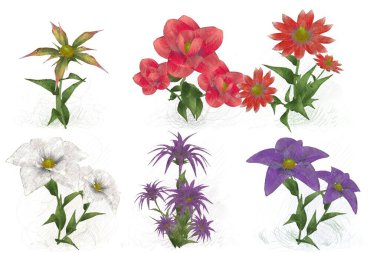 beyaz zemin üzerine suluboya çiçek