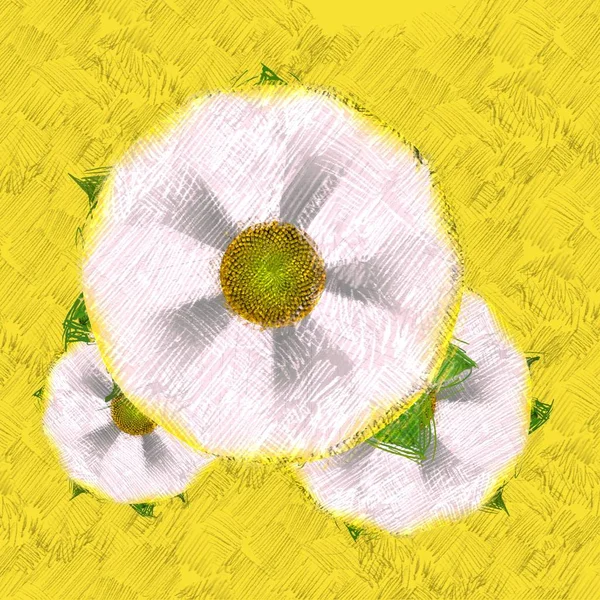Sarı Arka Plan Üzerinde Renkli Yağ Çiçek — Stok fotoğraf