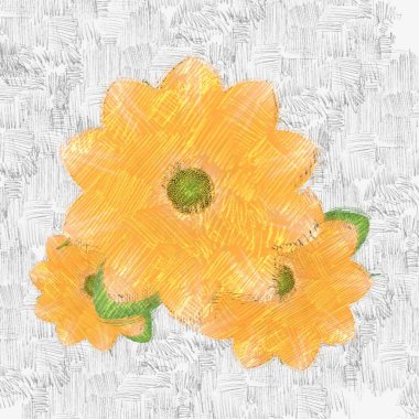 Beyaz arka planda güzel çiçekler