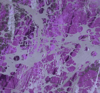 metin için alanı olan grunge arkaplanı 