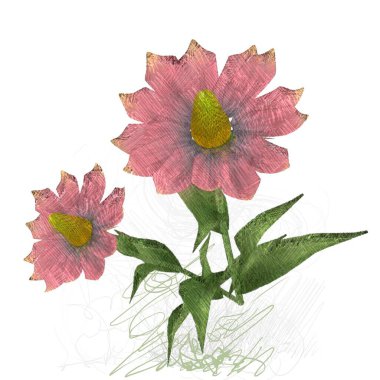 Beyaz arkaplanda güzel çiçekler 