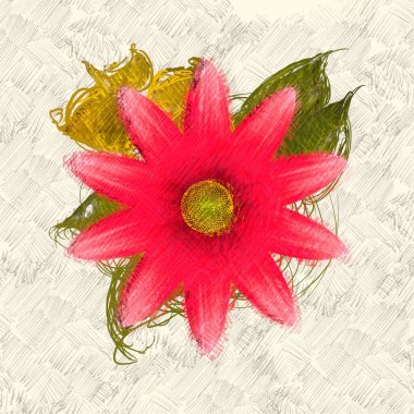 Kırmızı çiçek buketi