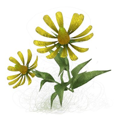 beyaz arkaplanda izole edilmiş çiçek