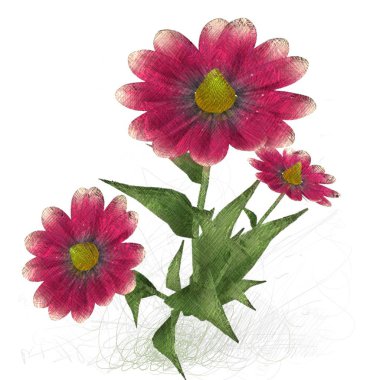 Beyaz arkaplanda güzel çiçekler 