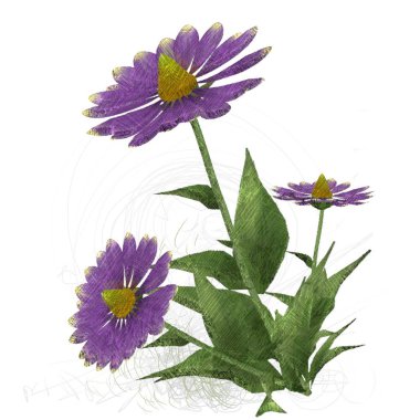 Beyaz arkaplanda güzel çiçekler