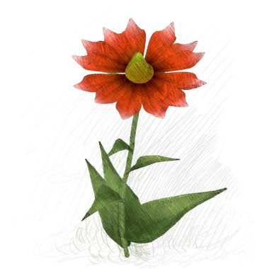 Beyaz arkaplanda güzel çiçekler