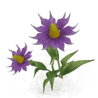 Beyaz arkaplanda güzel çiçekler