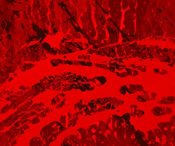 Boyayla soyut arkaplan  