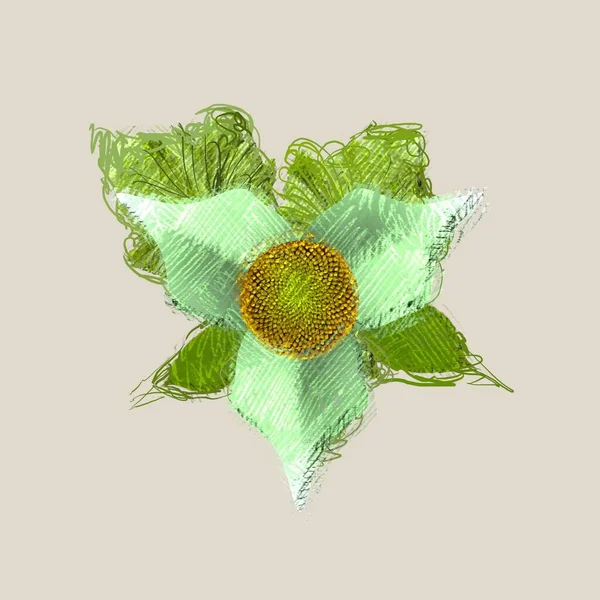 Πράσινο Φύλλο Απομονωμένο Λευκό Φόντο — Φωτογραφία Αρχείου