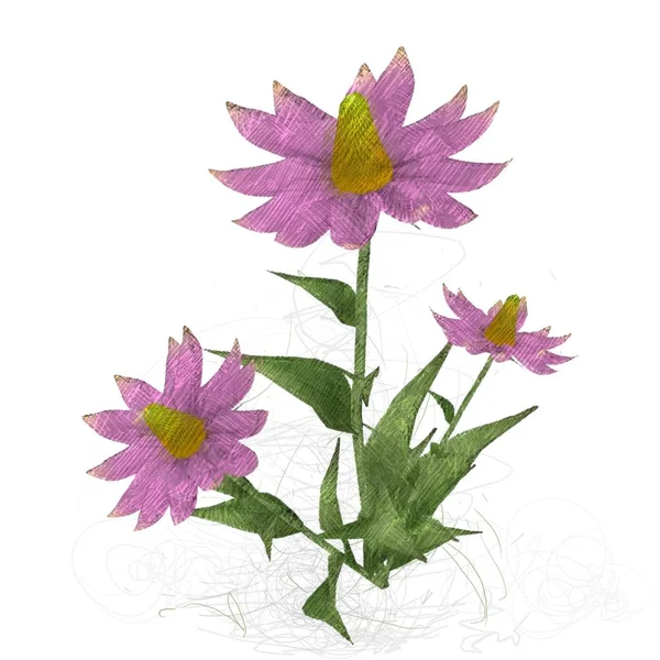 Akvarell Blommor Vit Bakgrund — Stockfoto