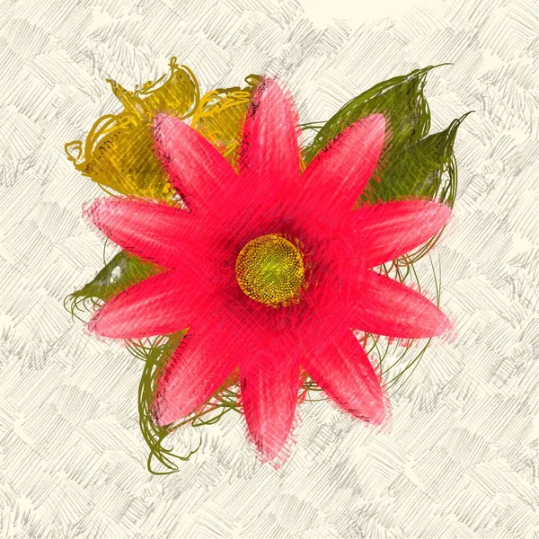 Kırmızı çiçek buketi