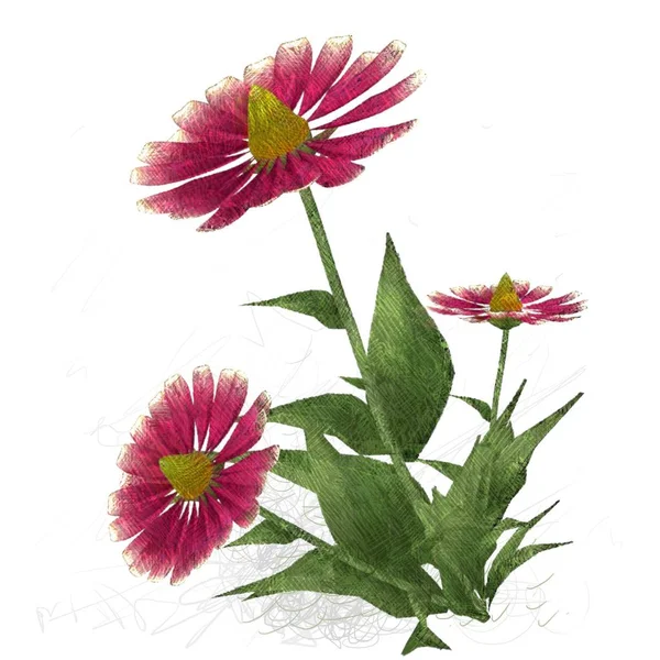 Beyaz arkaplanda güzel çiçekler