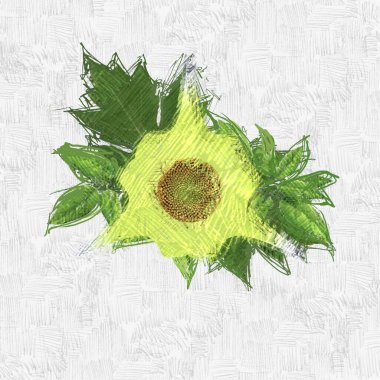 beyaz arkaplanda yeşil yapraklar