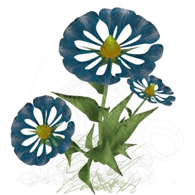 Beyaz arkaplanda güzel çiçekler