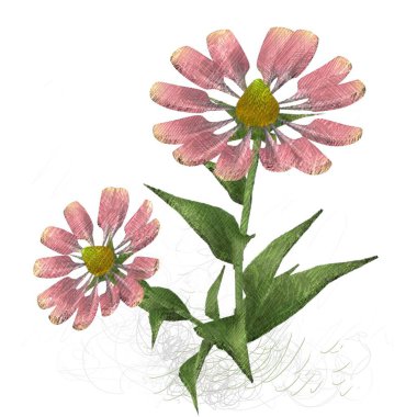 Beyaz arkaplanda güzel çiçekler