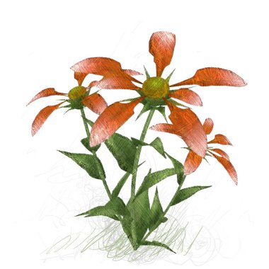 Beyaz arkaplanda güzel çiçekler