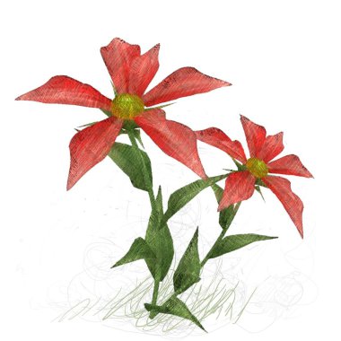 Beyaz arkaplanda güzel çiçekler